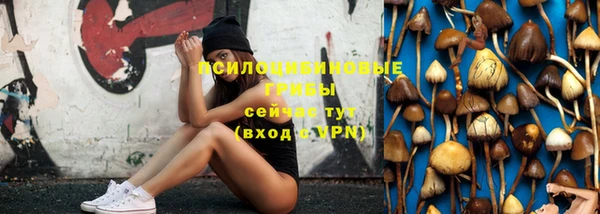 спиды Алексеевка