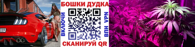 даркнет официальный сайт  Пласт  Конопля сатива 